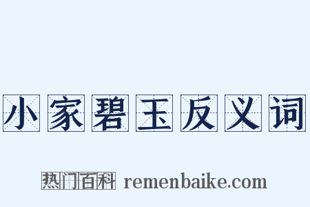 小家碧玉反义词是什么意思的图片